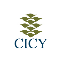 CICY
